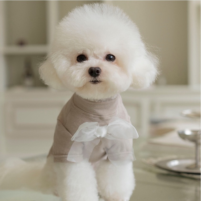 OPAAAP 柔軟蝴蝶結上衣