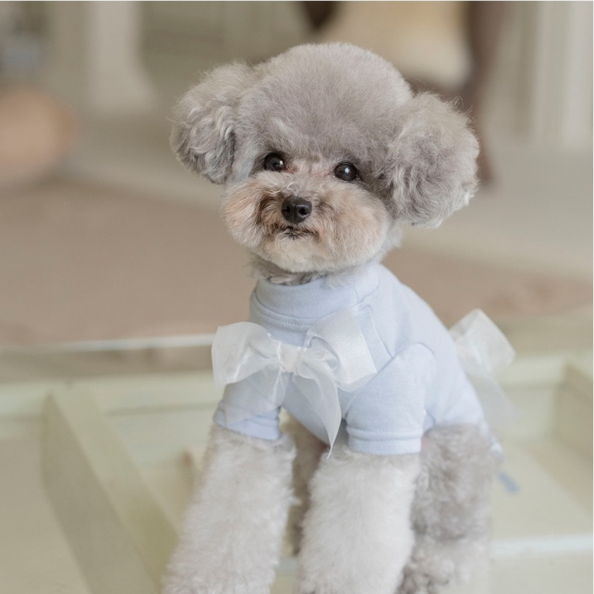 OPAAAP 柔軟蝴蝶結上衣