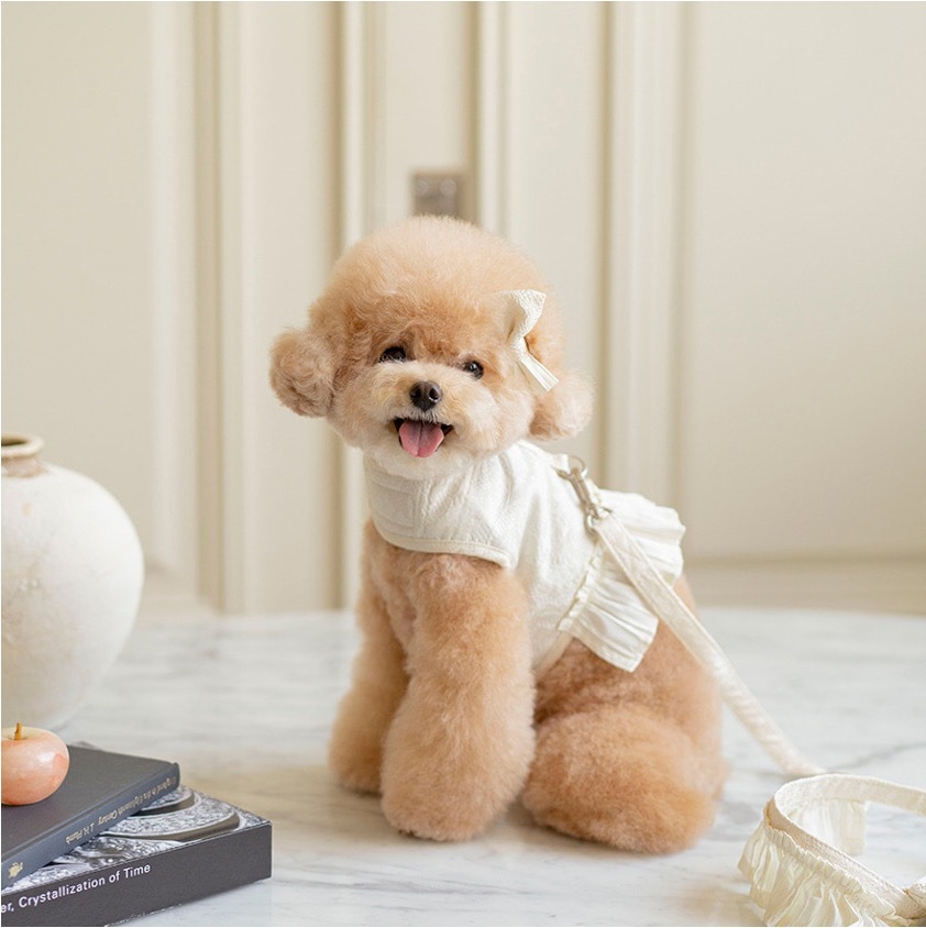 OPAAAP微光緹花胸背