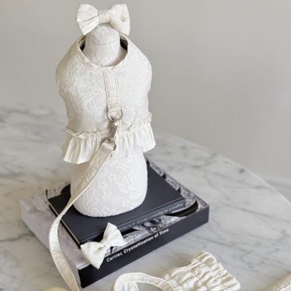 OPAAAP微光緹花牽繩