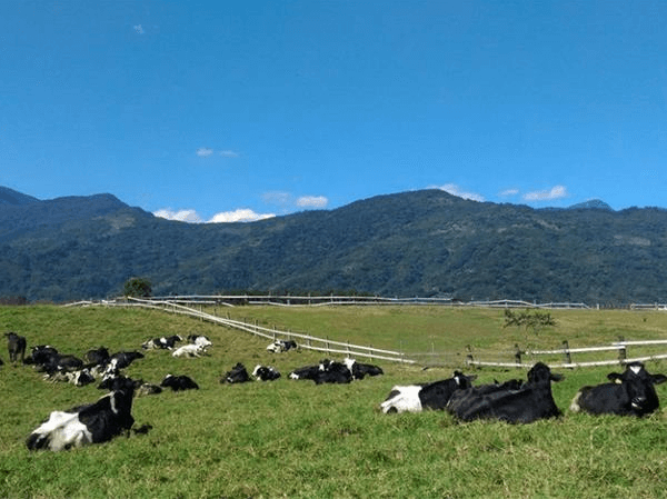 花蓮拍照景點精選輯：12個IG打卡必訪美景，輕鬆捕捉最美瞬間！