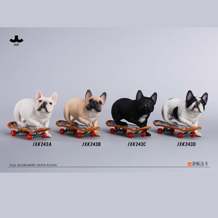 [訂金] JXK Studio : 1/6 JXK243 滑板法國鬥牛犬 (自選)
