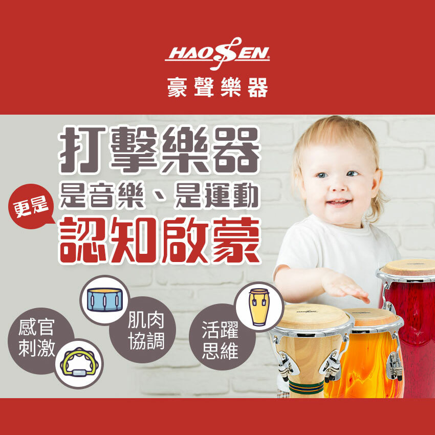 【台灣豪聲樂器】兒童迷你樂器