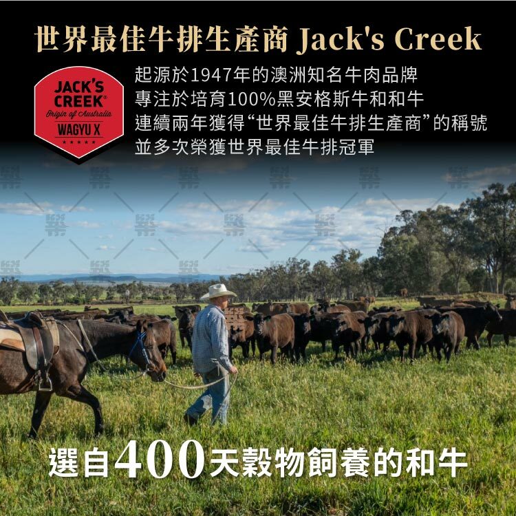 選自Jack's Creek培育400天穀物飼養的和牛