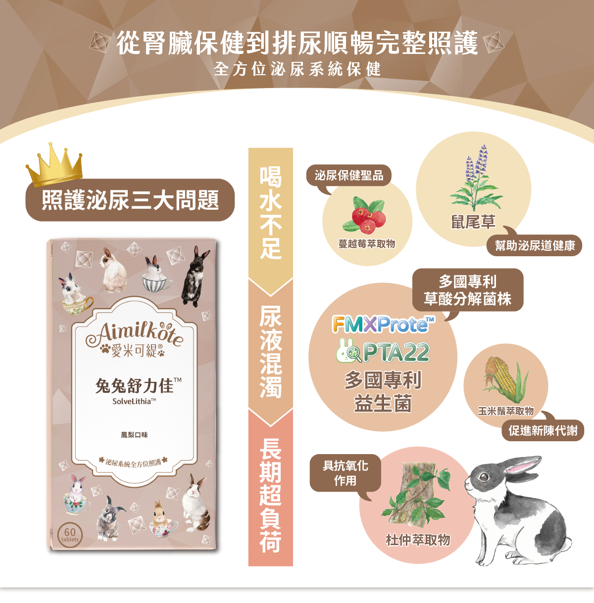 從腎臟保健到排尿順暢完整照護 全方位泌尿系統保健 照護泌尿三大問題 喝水不足 蔓越莓萃取物泌尿保健聖品 鼠尾草幫助泌尿道健康 尿液混濁 FMXProteTM PTA22多國專利益生菌 多國專利草酸分解菌株 玉米鬚萃取物促進新陳代謝 長期超負荷 杜仲萃取物具抗氧化作用