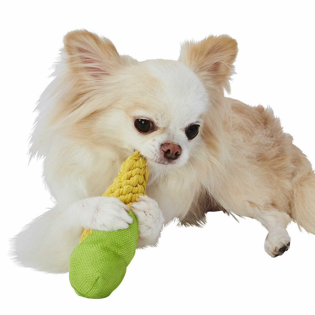 Petio - 磨牙潔齒手工編織玉米狗玩具 S [犬用]