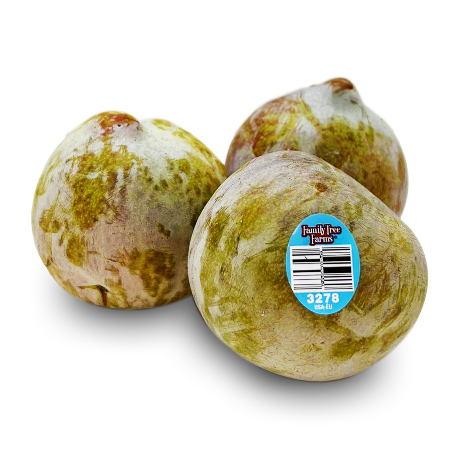 美國鰐魚蛋布冧 [3個]