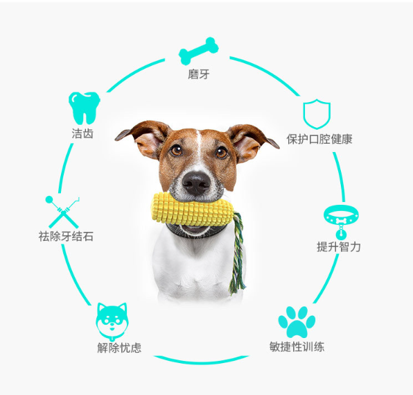 玉米造型寵物磨牙棒 MA-042 狗狗 高強度耐咬環保TPR 磨牙紓壓潔牙 可塗抹寵物牙膏 有聲寵物玩具