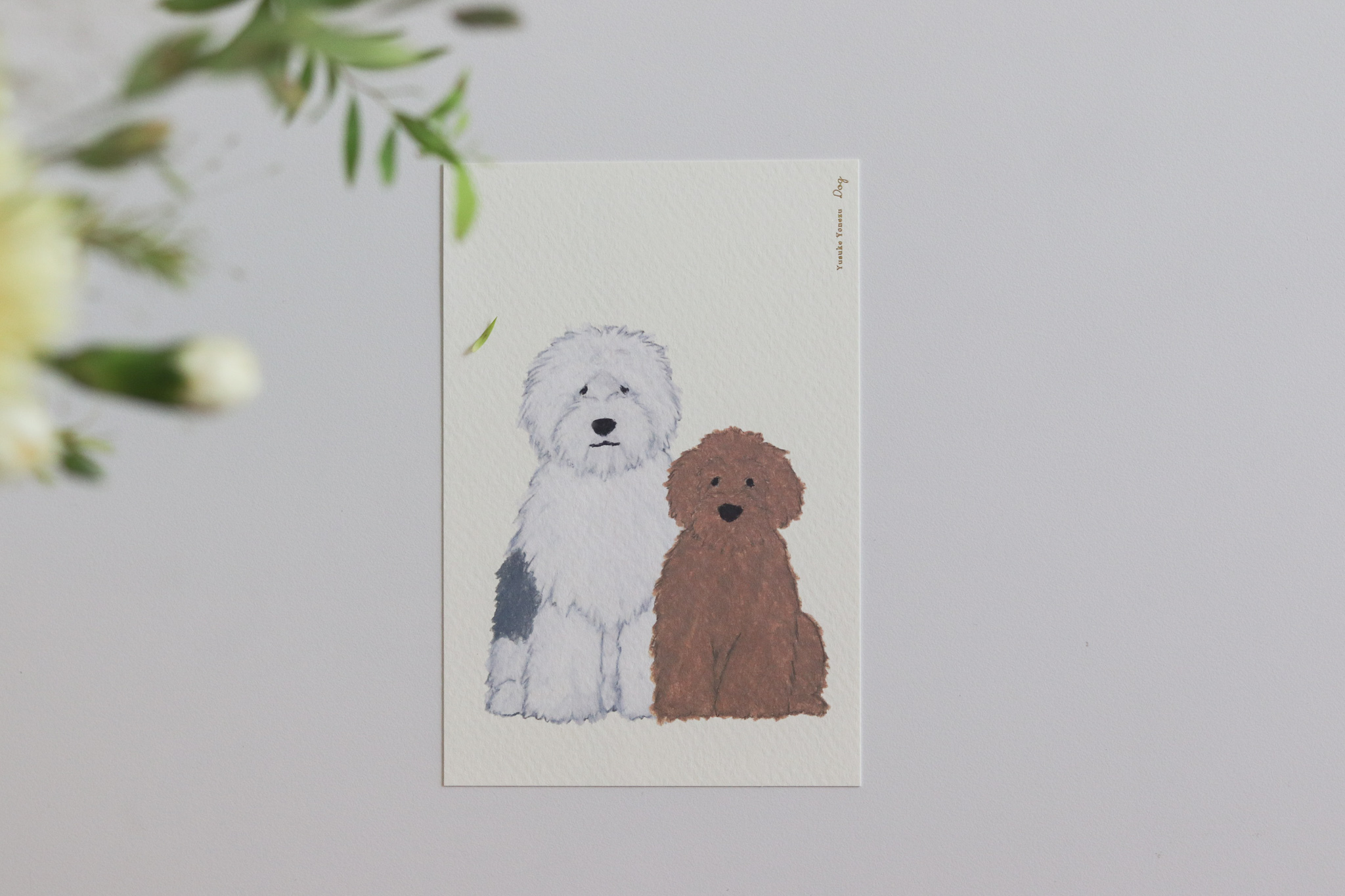 日本 Yusuke Yonezu 米津祐介 狗狗 明信片