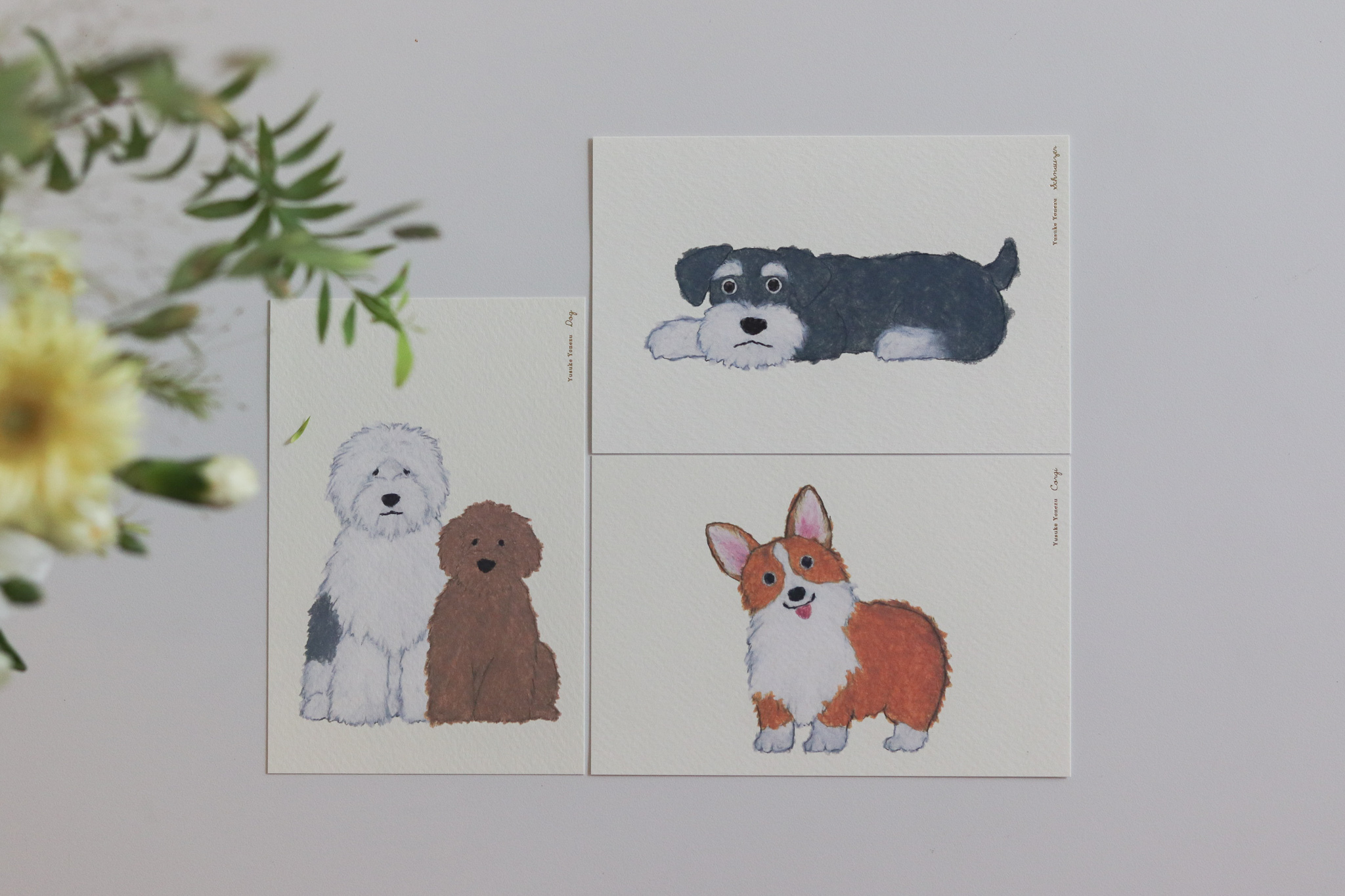 日本 Yusuke Yonezu 米津祐介 狗狗 明信片