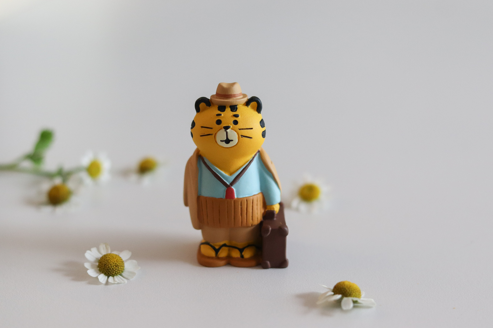 Decole x 松竹株式会社 柴又虎