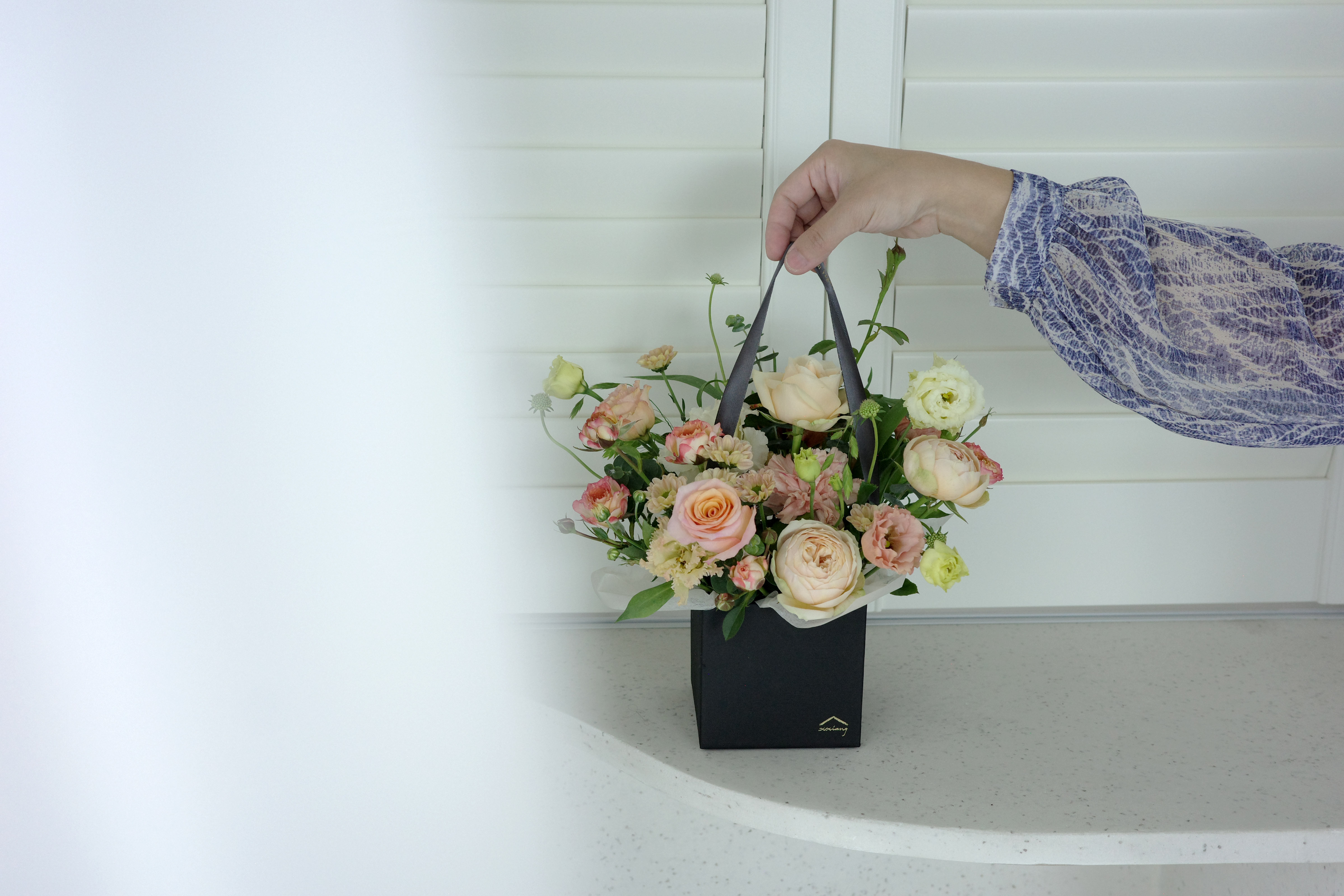 屬於我們的燦爛