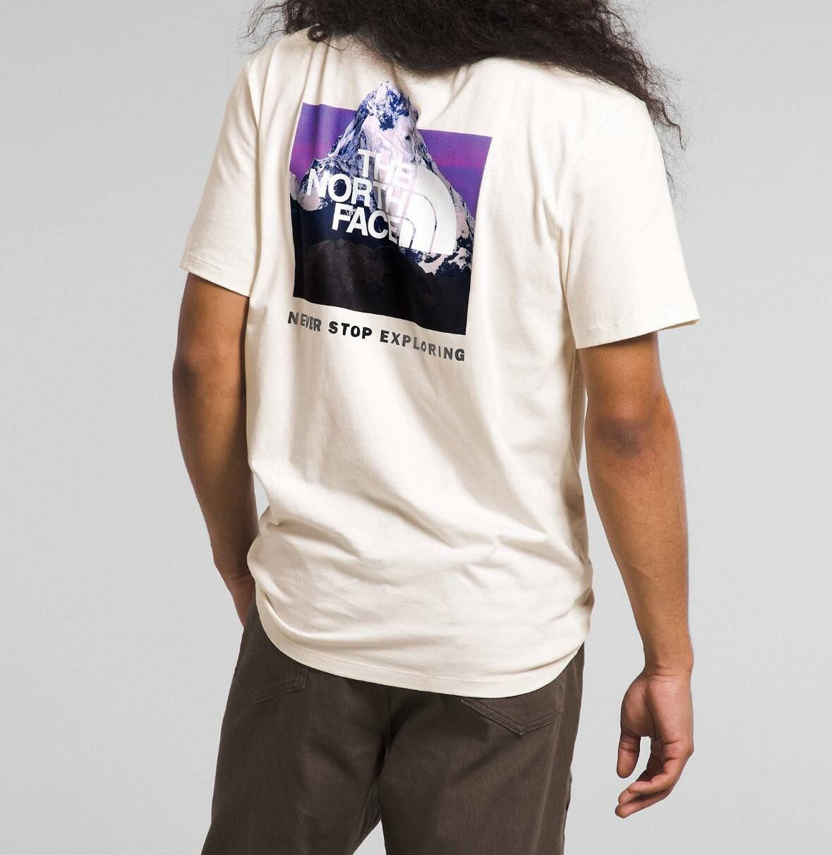 The north face  雪山山脈 Tee