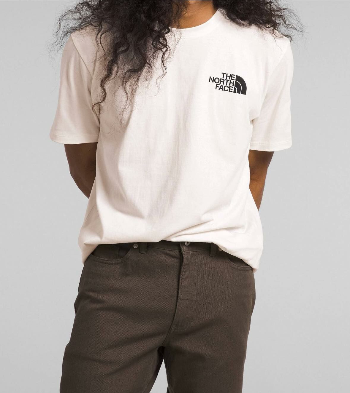 The north face  雪山山脈 Tee