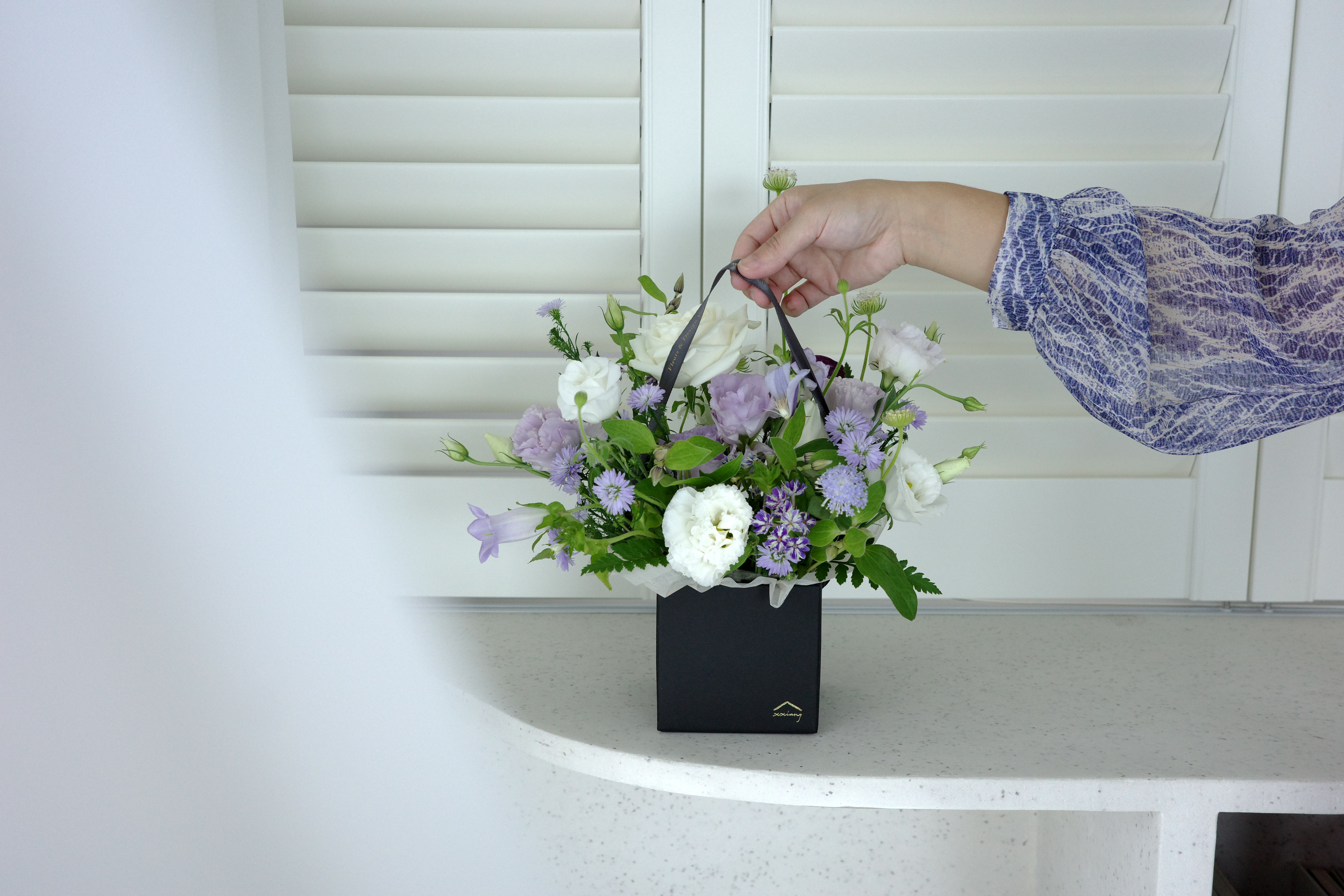 屬於我們的夢境