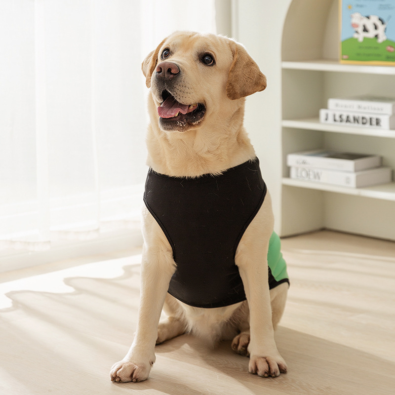 宠物衣服 大狗专用 薄款透气T