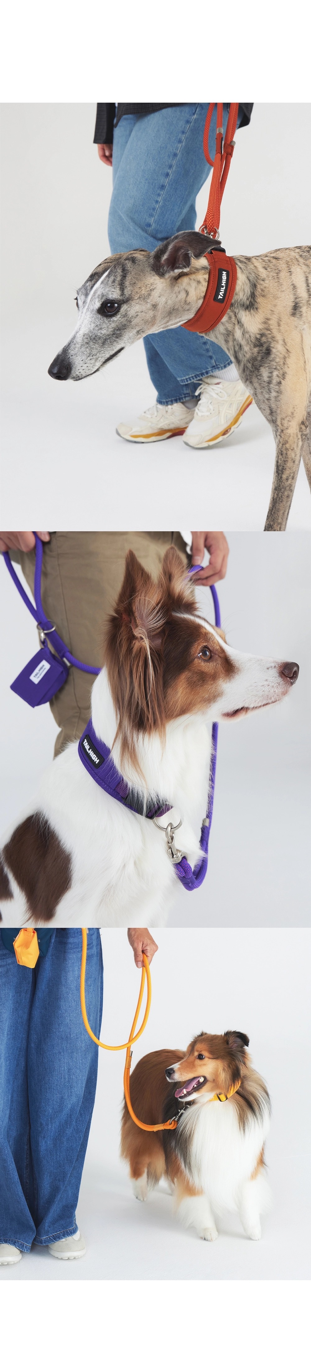 tailhigh輕裝上陣組｜牽引繩＋寵物項圈＋拾便袋