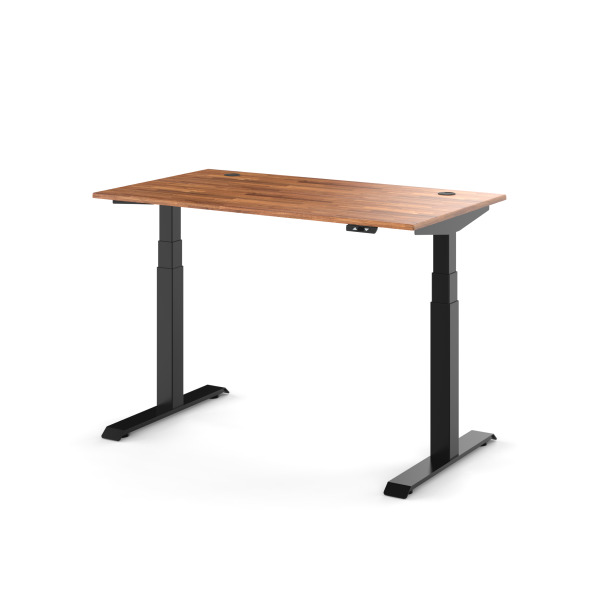 Backbone Backbone | Dyback 04® 電動升降桌 ◌ 旗艦款 第 2 張圖片｜三峽吉他 / Bass