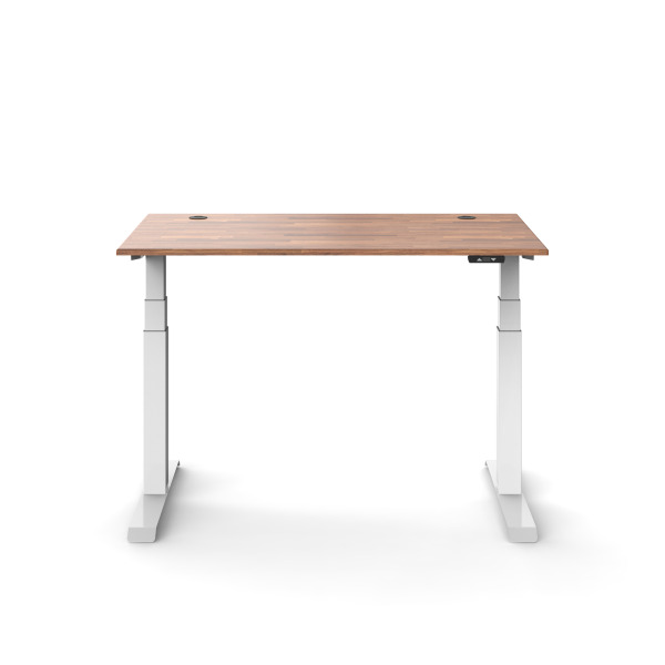 Backbone Backbone | Dyback 04® 電動升降桌 ◌ 旗艦款 第 6 張圖片｜三峽吉他 / Bass