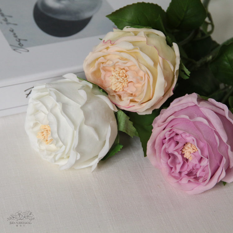 人造花 奧斯汀保濕玫瑰 3色