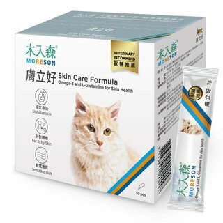 木入森 貓咪膚立好