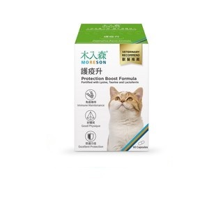 木入森 貓咪護疫升