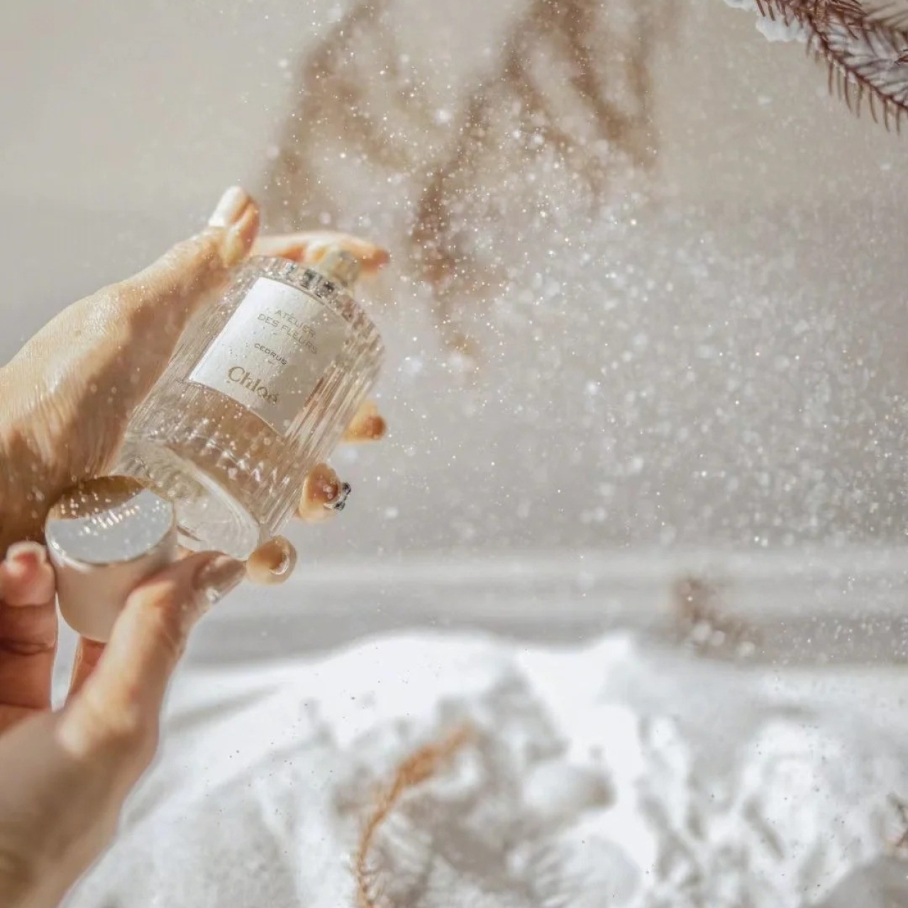 Chloe Atelier des Fleurs 仙境花園系列香水 北國雪松 50ml