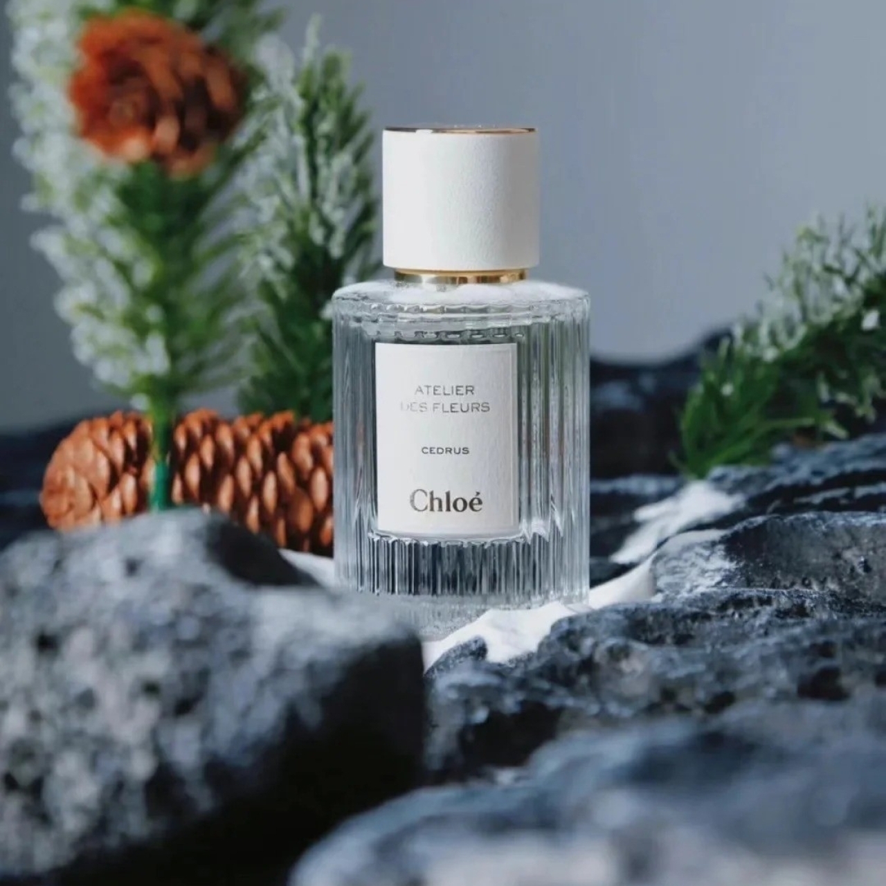 Chloe Atelier des Fleurs 仙境花園系列香水北國雪松50ml