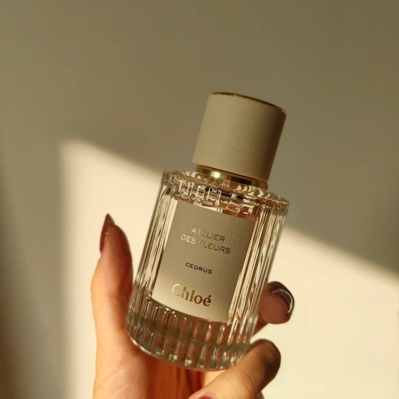 Chloe Atelier des Fleurs 仙境花園系列香水北國雪松50ml