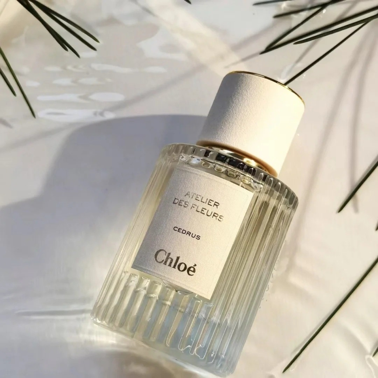 Chloe Atelier des Fleurs 仙境花園系列香水 北國雪松 50ml