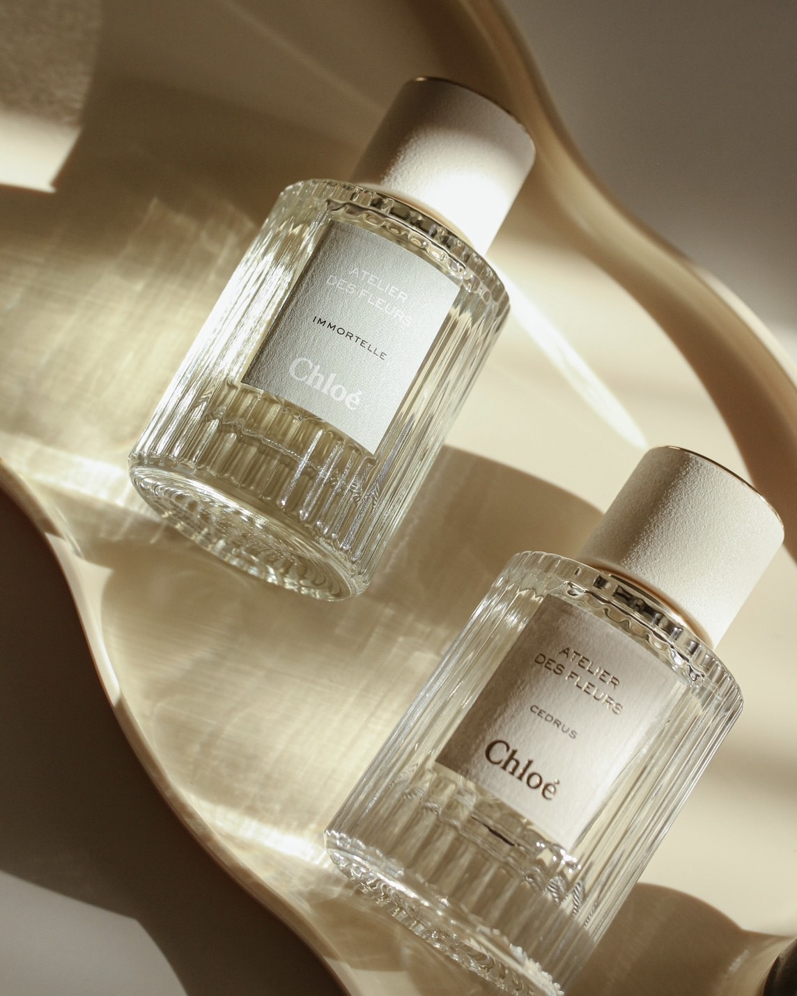 Chloe Atelier des Fleurs 仙境花園系列香水北國雪松50ml