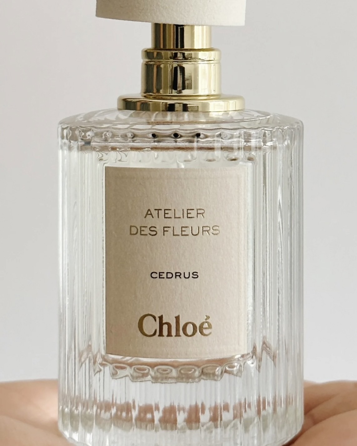 Chloé Atelier des Fleurs Ceramus 香水 セット Chloé Atelier des Fleurs Ceramus 香水 セット