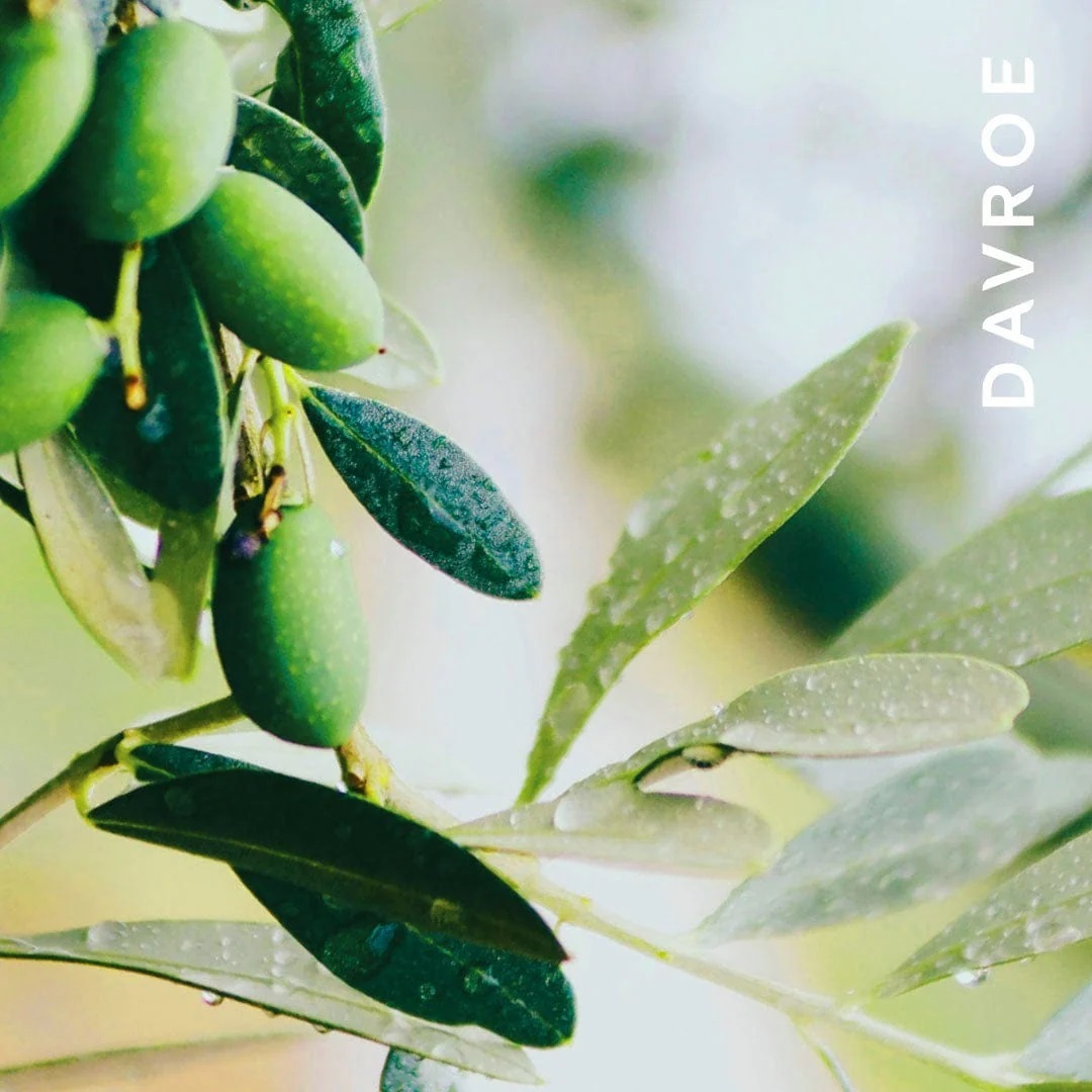 DAVROE 紋理塑型膠 150ML