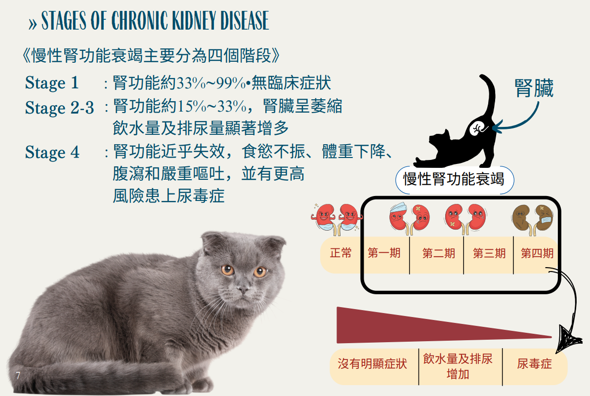 Josera Help Veterinary Diet Cat food Renal成貓腎糧