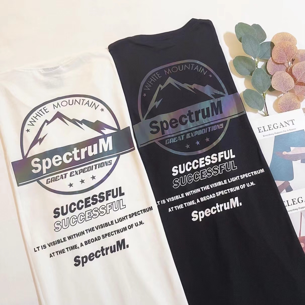 🇹🇼台灣代購款 MOUNTAIN BACK PRINT TEE