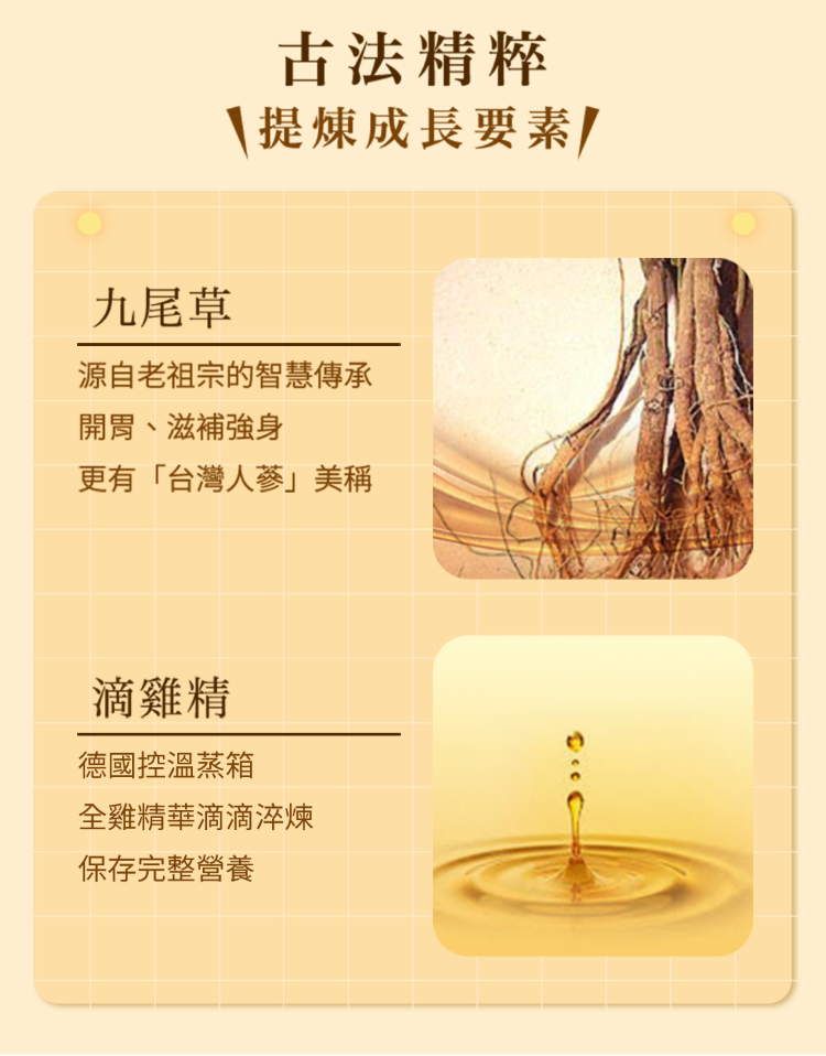 古法精粹成長要素九尾草源自老祖宗的智慧傳承開胃、滋補強身更有「台灣人蔘」美稱滴雞精德國控溫蒸箱全雞精華滴滴淬煉保存完整營養
