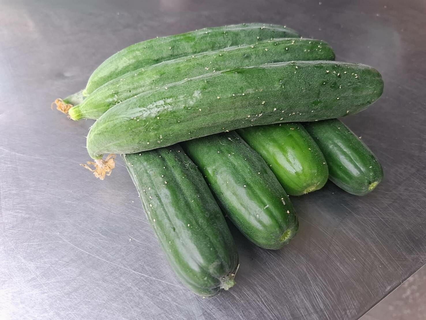 大林小農-無毒溫室小黃瓜🥒🥒 一斤裝
