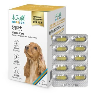 木入森 犬寶好眼力