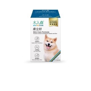 木入森 犬寶膚立好