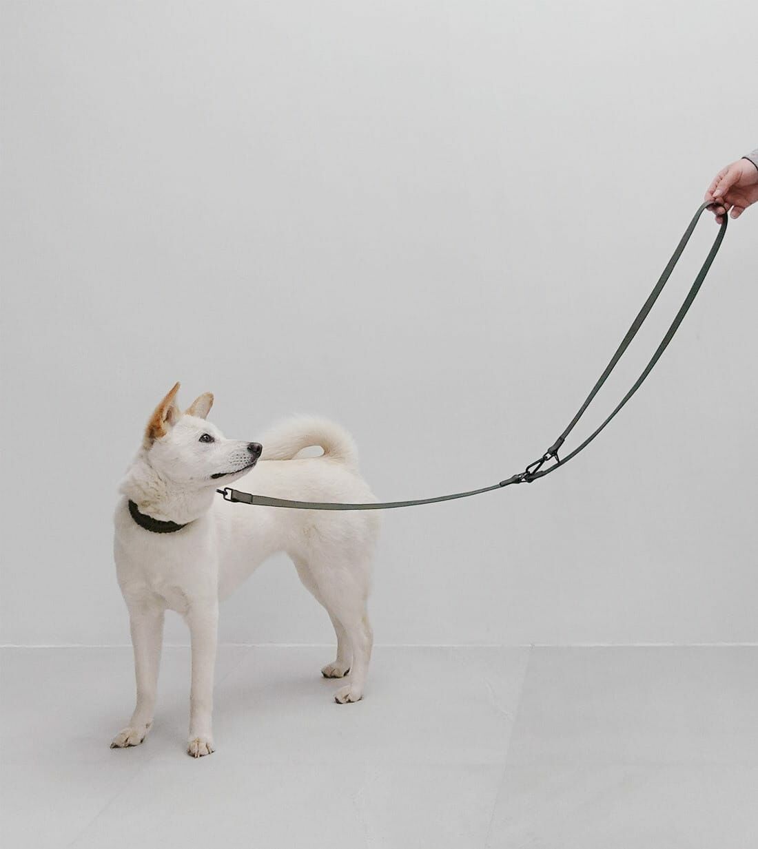 Lambwolf Collective-MELLEM X ｜ 全天候防水牽繩