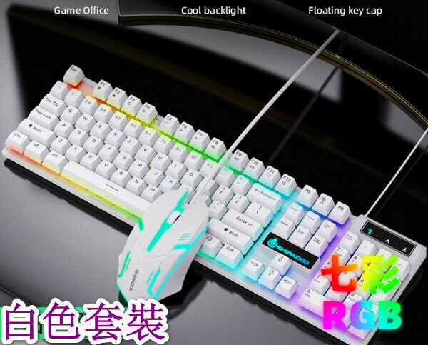 Wired Illuminated Keyboard and Mouse Combo - D500 - White Combo