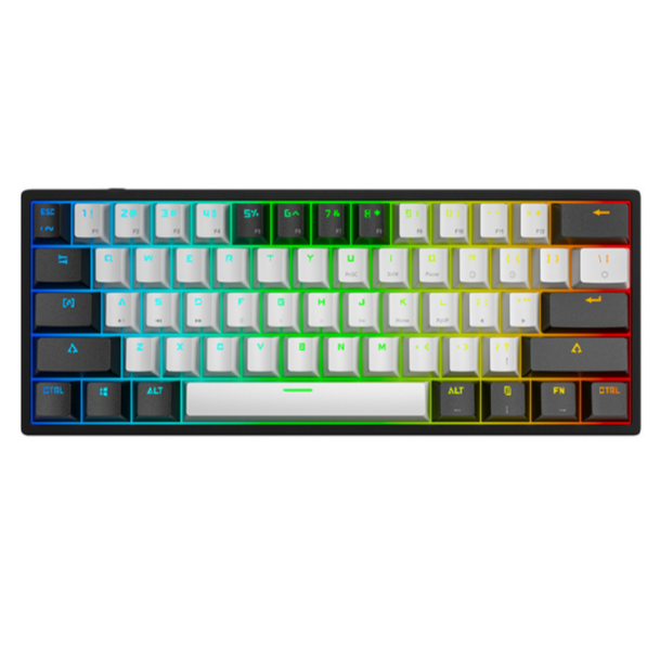 Blue Switch Gaming Mechanical Keyboard (Black & White)