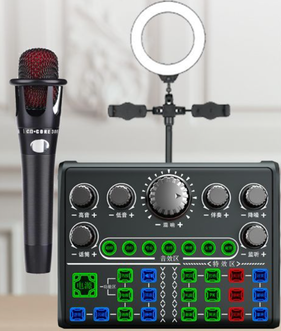 Live Streaming Equipment Set (P200+E300+26CM Fill Light Floor Bracket + Headset + OTG (choose one of the two)