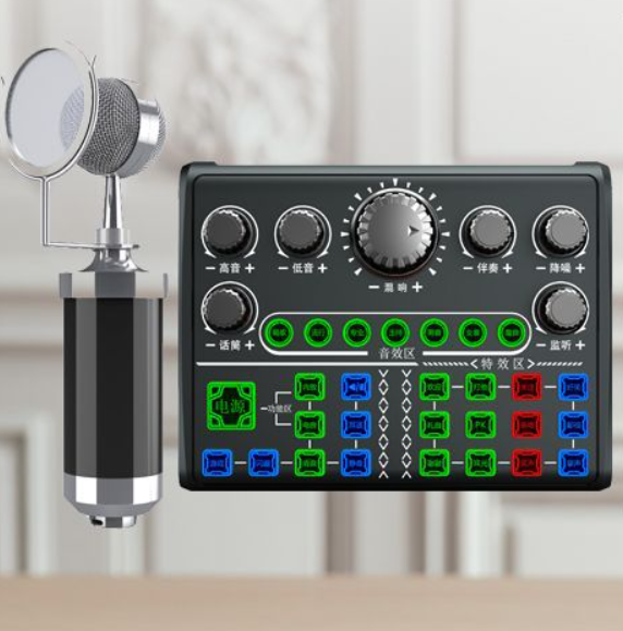 Live Streaming Equipment Set (P200 + Baby Bottle Black + Duck Palm Microphone Bracket + Disc Mobile Phone Holder + Headset + OTG (Choose One of the Two)