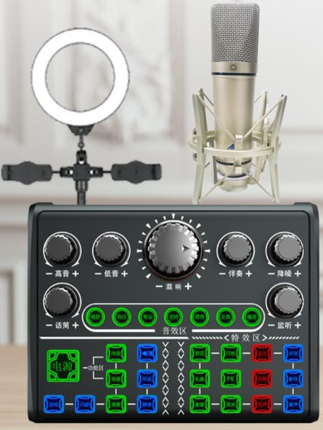 Live Streaming Equipment Set (P200 + U87 + Cantilever Microphone Stand + 16CM Fill Light Desktop Stand + Headset + OTG (choose one of the two)
