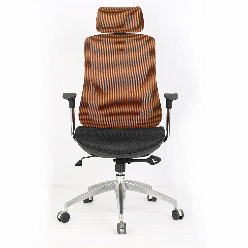 Mesh ergonomic chair (brown)