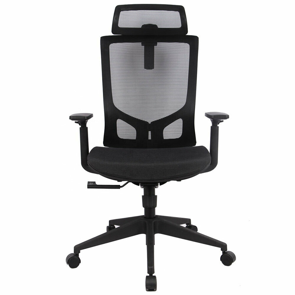 Stylish Liftable Swivel Mesh Chair (Black)