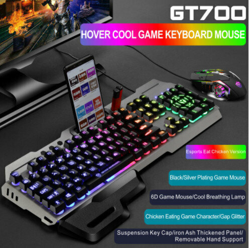 Wired Illuminated Keyboard and Mouse Combo (GT700 Black Character Gap Illuminated Keyboard + Hot Wheels Gaming Mouse Chicken Edition)