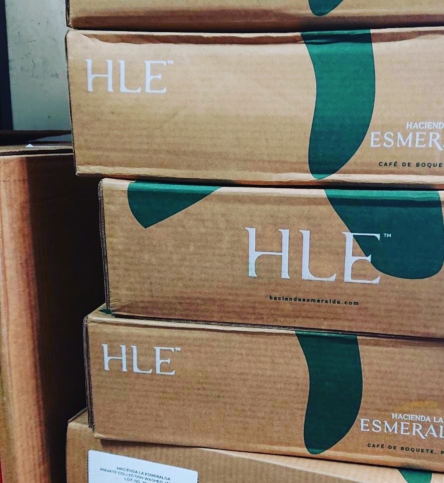 【咖啡生豆】 巴拿馬 翡翠莊園 綠標藝伎 瑰夏 水洗 日曬 2025新產季