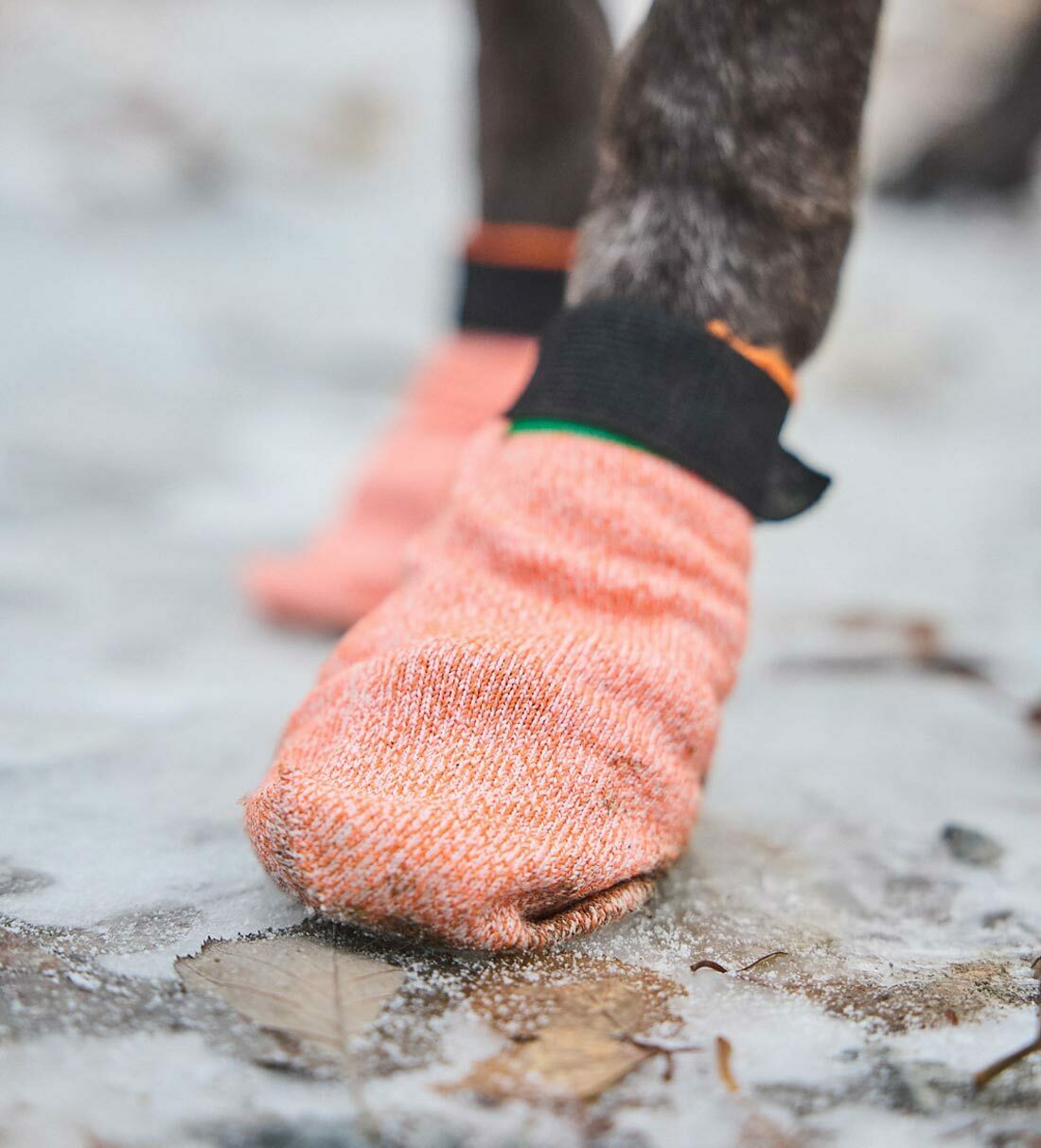 【Non-stop dogwear】PROTECTOR輕便戶外鞋套